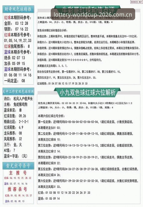 2026世界杯官方彩票网站全面解析：从新手到高手的购彩指南